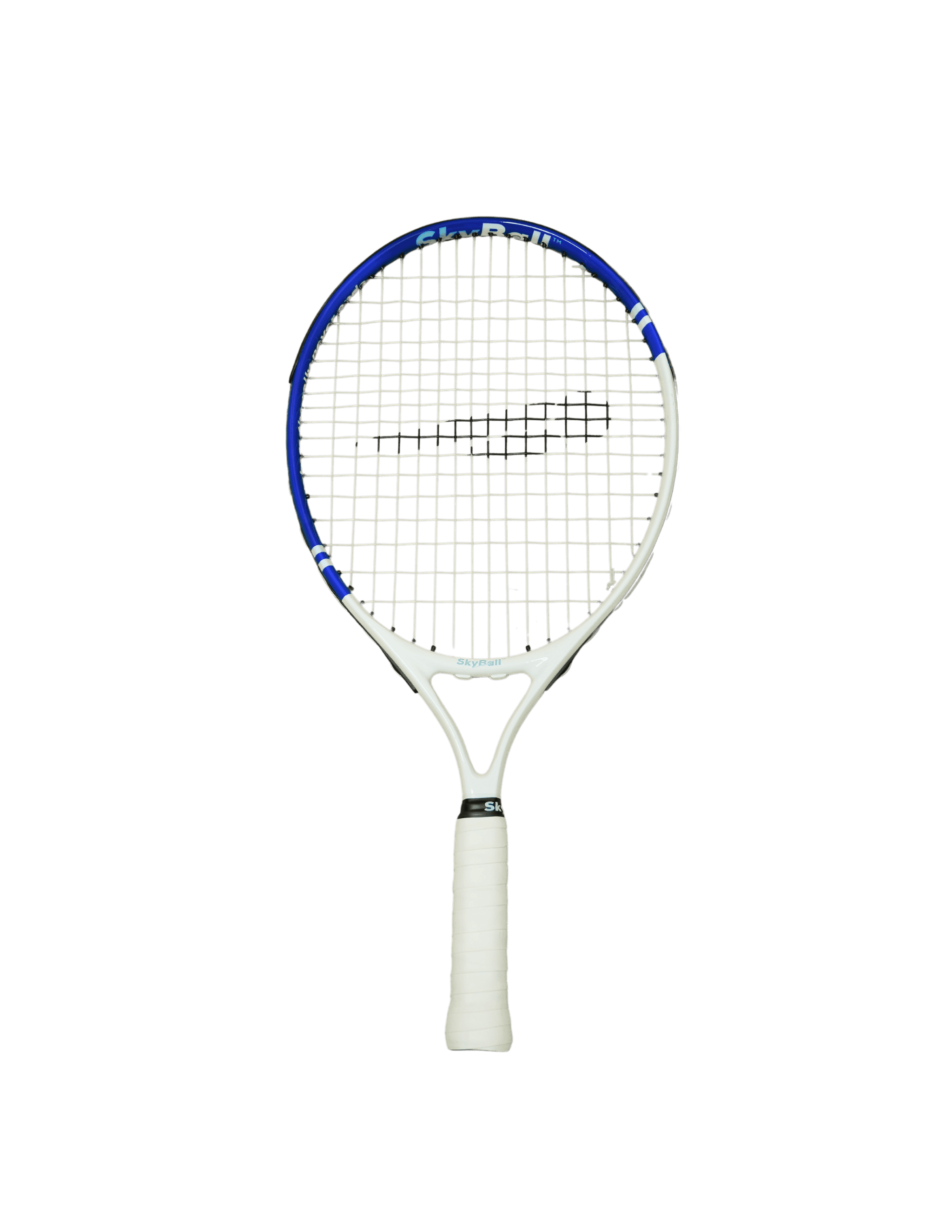 Shop SkyBall Equipment | SkyBall™