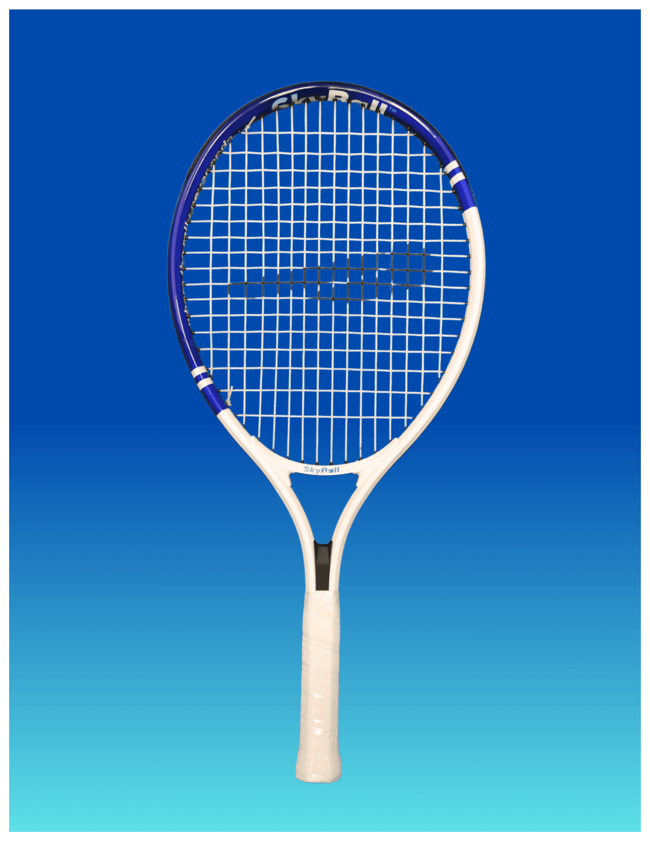 SkyBall Racket - view 1